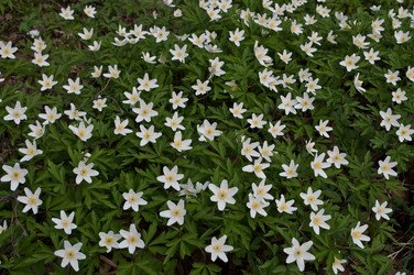 Similar image 253470