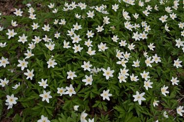 Similar image 253472