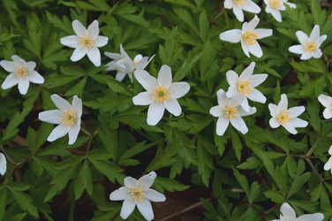 Similar image 253473