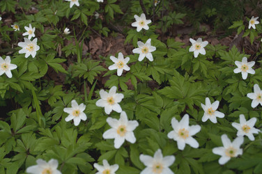 Similar image 253475