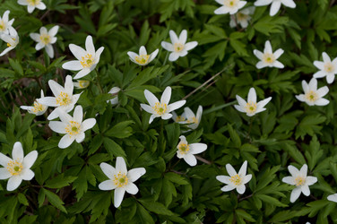 Similar image 253476