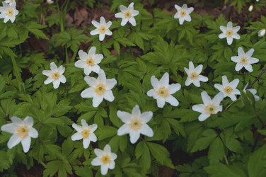 Similar image 253477