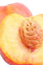 Similar image 253482