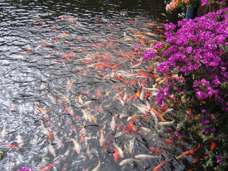 Similar image 253484