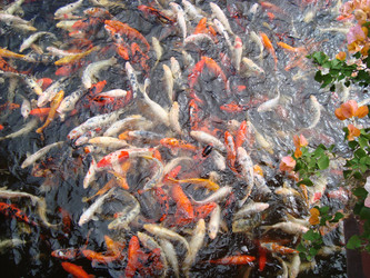 Similar image 253485