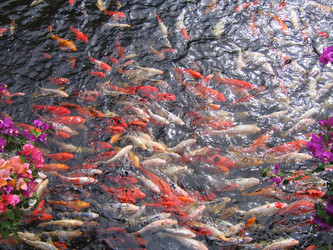 Similar image 253486