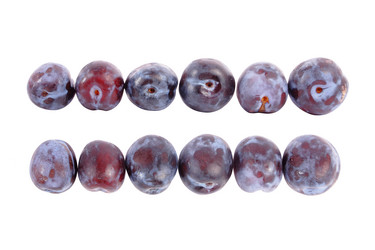 Similar image 253514