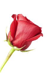 Similar image 253598