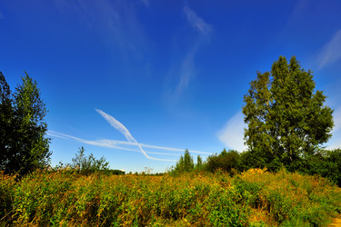 Similar image 253673