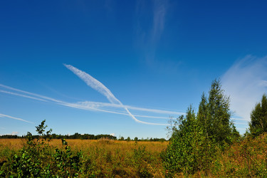 Similar image 253675