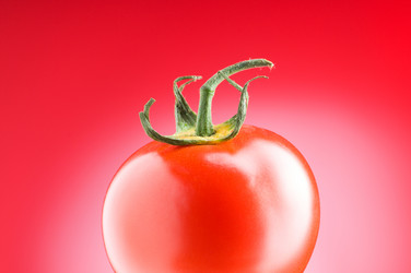 Similar image 253716