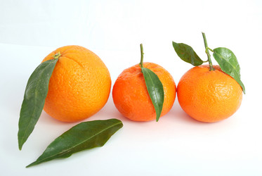 Similar image 253726