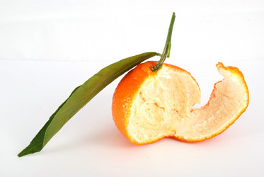 Similar image 253727