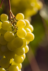 Similar image 253742