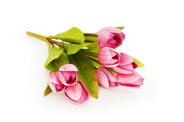 Similar image 253755