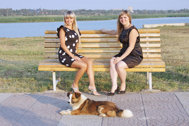 Similar image 253808