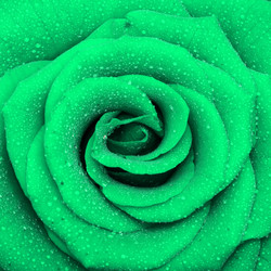 Similar image 253810