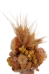 Similar image 253820