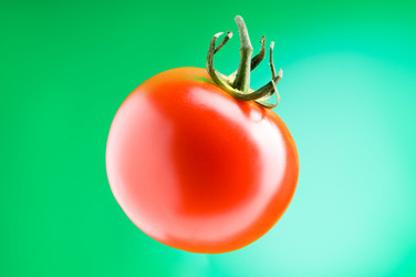 Similar image 253831