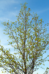 Similar image 253850