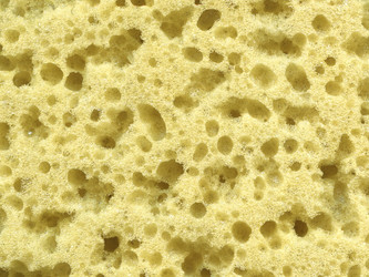 Similar image 253856