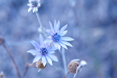 Similar image 253863