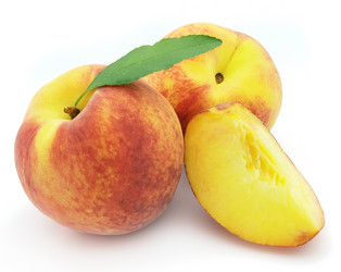 Similar image 253865