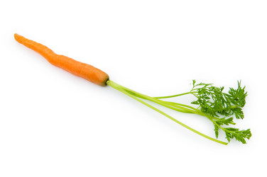 Similar image 253877