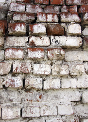 Similar image 253919