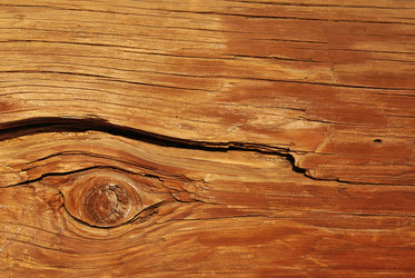 Similar image 253953