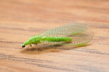 Similar image 253956