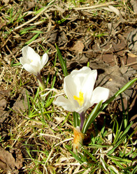 Similar image 253963