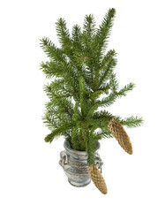 Similar image 253977