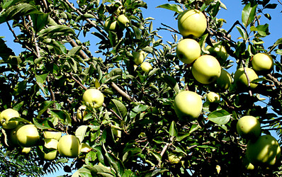 Similar image 253996