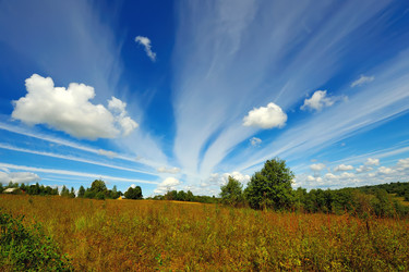 Similar image 254005