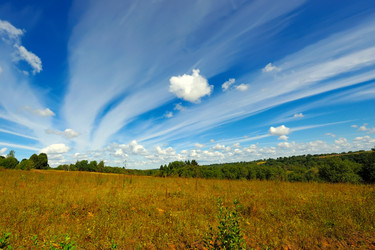 Similar image 254006