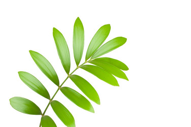 Similar image 254046