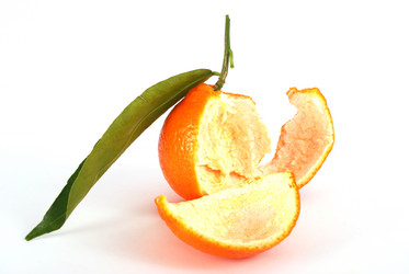 Similar image 254103