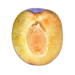 Similar image 254105