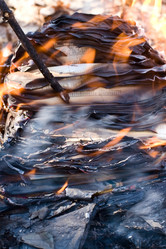 Similar image 254127