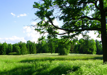 Similar image 254138