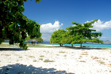 Similar image 254160