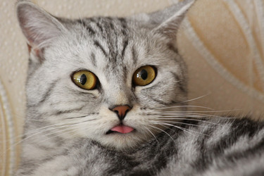 Similar image 254199