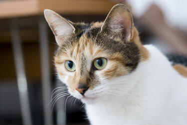 Similar image 254246