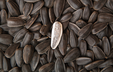 Similar image 254261