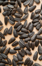 Similar image 254262