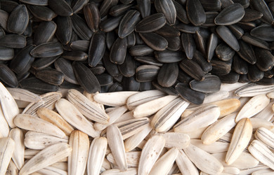 Similar image 254263