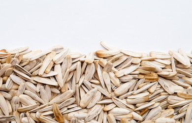 Similar image 254264