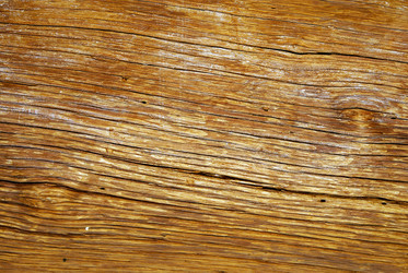 Similar image 254314