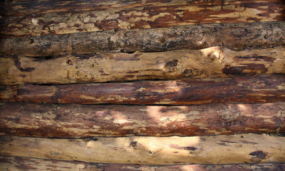 Similar image 254316